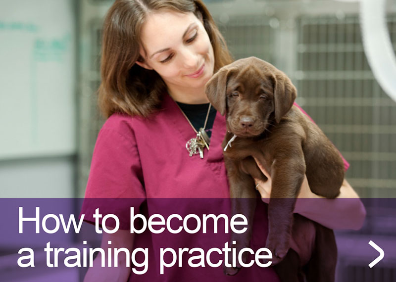 How to become a training practice